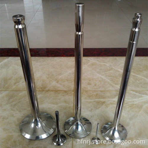 Diesel Engine Auto Parts 16/24 Exhaust valve parts